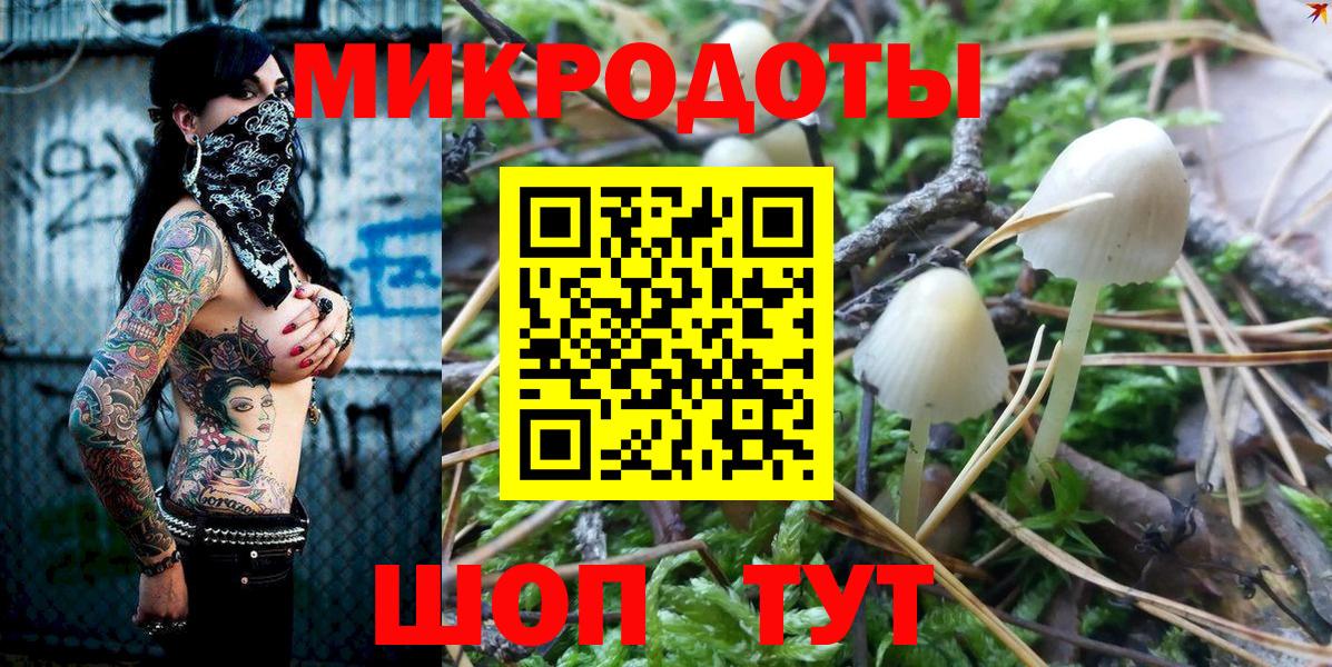Псилоцибиновые грибы Psilocybe  Вход с VPN  Канаш 